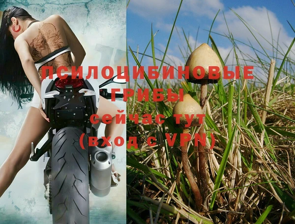 мяу мяу кристалл Медвежьегорск