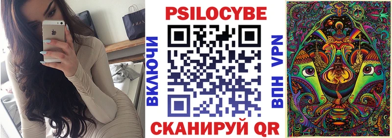 Галлюциногенные грибы Cubensis  Купить где  Тайшет 